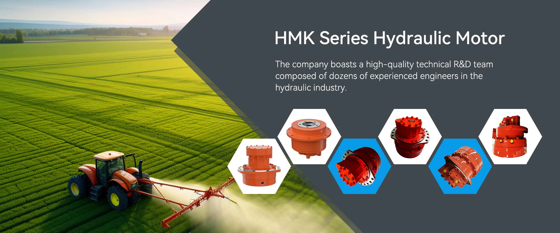 Motore idraulico della serie HMK China